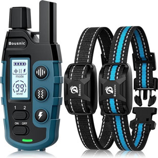 INVENITIAH Dog Shock Collar for 2 Dogs
