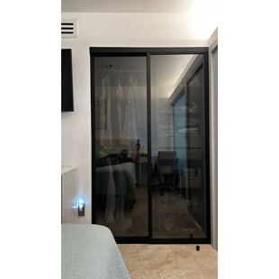 DOORS22 2 Panel Lite Smoked Glass Sliding Closet