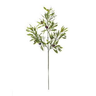 GRACIE OAKS Olive Arrangement