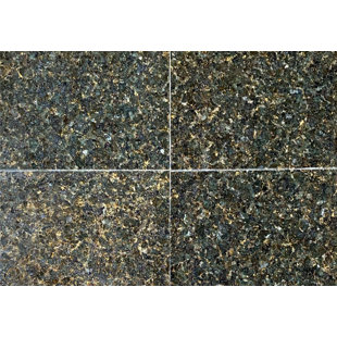 STONE & TILE SHOPPE, INC. Ubatuba 12" x 12" Granite Wall & Floor Tile