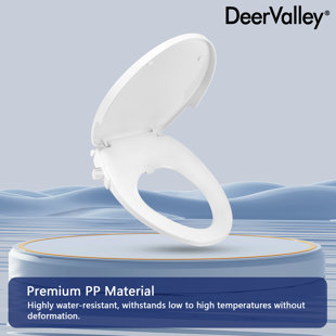 DV-1S0038 DeerValley Soft Close Toilet Seat Dual Nozzles Manual Non-electrical Bidet Toilet Seat