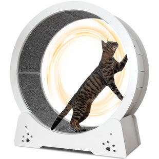 HAPPY & POLLY 40.6'' H Large Quiet Cat Wheels for Indoor Cats, Cat Exercise Wheel with Carpeted Runway