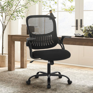 EBERN DESIGNS Home Office Ergonomic Mesh Task Chair