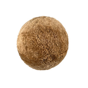 TOV FURNITURE New Zealand Brown Genuine Sheepskin 12" Ball Pillow