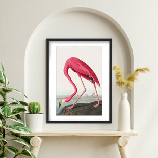 R2H MODERN Pink Flamingo II From Birds Of America (1827)