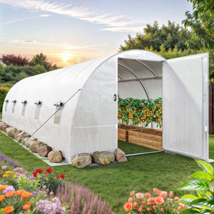 EDROSIE INC 120" D x 312" W White Polyethylene Greenhouse With 10 Net Windows