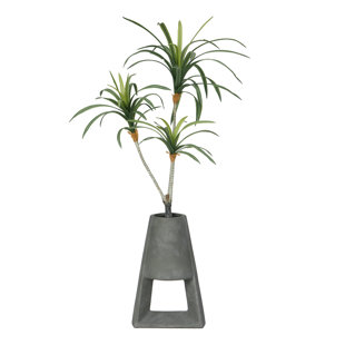 PRIMRUE 38" Real Touch Artificial Dracaena In Modern Planter - Cute Dragon Tree In A Grey Contemporary Pot