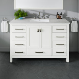 BRAYDEN STUDIO® Eviva Aberdeen 48"W x 22"D Bathroom Vanity with Undermount Porcelain Sink