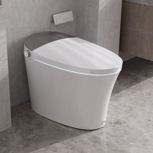 DEERVALLEY Elongated Smart Bidet Toilet Tankless, Foot Kick & Blackout Flush, Warm Wash, Night Light, Advanced