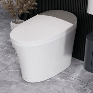 DEERVALLEY Smart Bidet Toilet Elongated, Auto Open/Close Lid, Seat Heat, Foot Kick & Blackout Flush, Premium