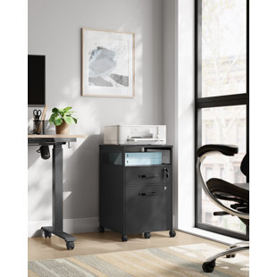 WILLISTON FORGE Annya 42cm Wide 2 -Drawer Mobile Steel File Cabinet