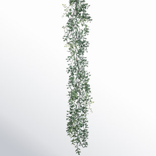 GRACIE OAKS Gaster 72" Artificial Boxwood Garland