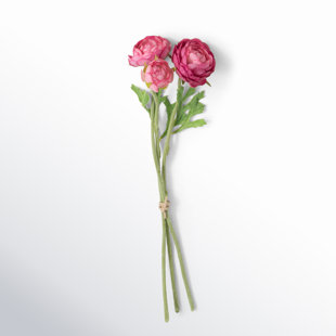 CLOVER LANE Vibrant Bloom Ranunculus Arrangement