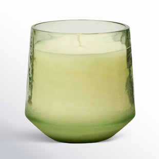 BRAYDEN STUDIO® ILLUME Beautifully Done Baltic Glass Candle, Hinoki Sage