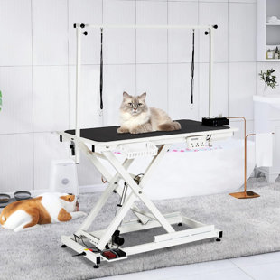 BABEVY 50'' Electric Dog Grooming Table, Heavy Duty, Height Adjustable Pet Grooming Table