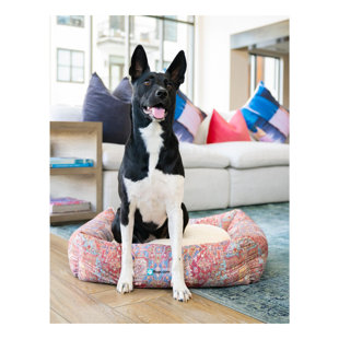 Rugs.com Grace Premium Pet Bed Rug