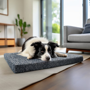 SNOOZER PET PRODUCTS 100% Washable Forgiveness Crate Dog Pad by Snoozer