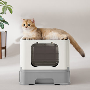 ARCHIE & OSCAR™ Crawley Foldable Slide-Out Cat Litter Box With Scoop And Brush