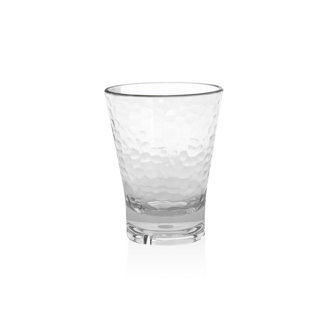 ROOM360°BYFOH® Drinkwise® 12 oz. Plastic Whiskey Glass (Set of 12)