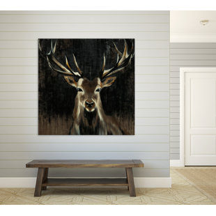 CLICART Liz Jardine Young Buck On Canvas by Liz Jardine Print