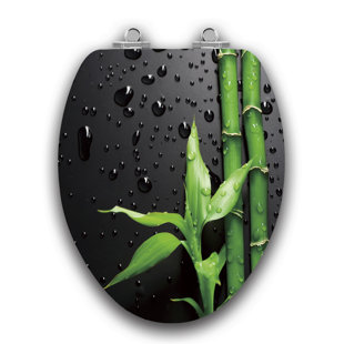 TOPSEAT Art Of Acryl Elongated Toilet Seat and Lid