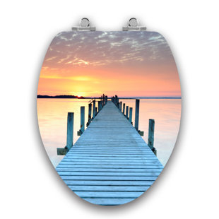 TOPSEAT Art of Acryl Florida Slow Close Elongated Toilet Seat