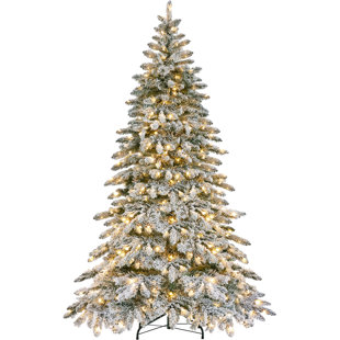 THE HOLIDAY AISLE® Lighted Fir Christmas Tree