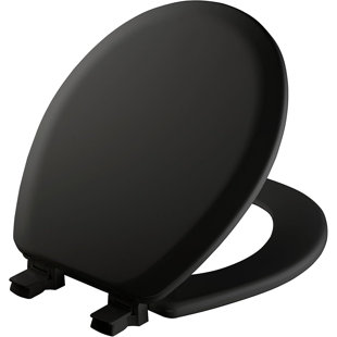 MAYFAIR BY BEMIS Cameron Toilet Seat