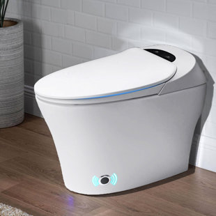 FANGFLOWER GPF Elongated Floor Mounted Bidet Toilet (Seat Included)