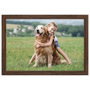 Gallery Solutions Large Gallery Wall Scoop Picture Frame