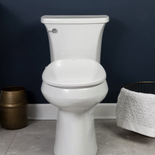 BIO BIDET BY BEMIS BB500 Elongated Toilet Seat Bidet