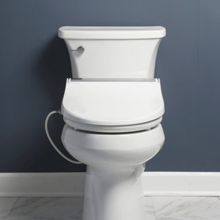 BIO BIDET BY BEMIS BB2000 Round Toilet Seat Bidet