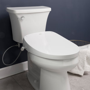 BIO BIDET BY BEMIS DLS Elongated Toilet Seat Bidet