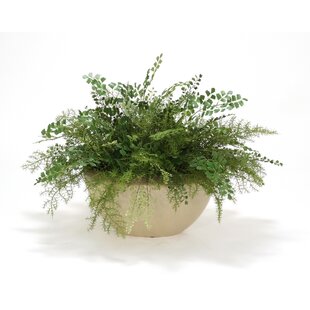 DISTINCTIVE DESIGNS 23'' Faux Fern Plant in Earthenware Planter