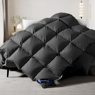 WAYFAIR Goose Down Comforter Full Size - All Season Gray Fluffy Feather Duvet Insert With Tabs, Gray/all Season)