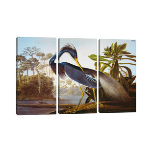 BEACHCREST HOME Louisiana Heron From "Birds Of America" by John James Audubon - No Frame Gallery-Wrapped Canvas Giclée on Canvas