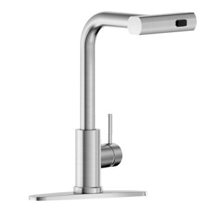 APPASO Pull Out Kitchen Faucet