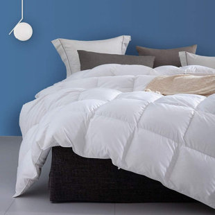 ALWYN HOME 100% Cotton Cover All Season Premium Down & Feather Blend Comforter