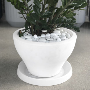 CRESCENT GARDEN Circular Universal Round Planter Saucer