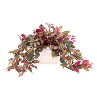 FREEPORT PARK® Karas Faux Tradescantia Plant in Ceramic Vase