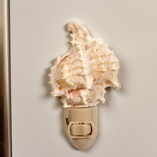 THE SEASHELL COMPANY Murex Seashell LED Night Light
