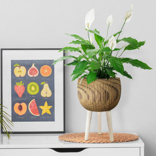 HORTICO RIBBED Tall Indoor Plant Pot Stand for House Plants with Waterproof Liner | Natural Wooden House Planter with Legs D23 H36 cm, 4.2L