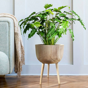 HORTICO GAIA Tall Indoor Plant Pot Stand for House Plants with Waterproof Liner | Natural Wooden House Planter with Legs