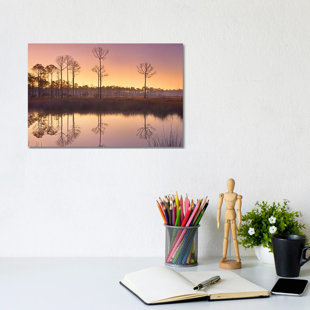 LARK MANOR Pineland At Piney Point Near Hagen's Cove, Florida by Tim Fitzharris - No Frame Gallery-Wrapped Canvas Giclée on Canvas