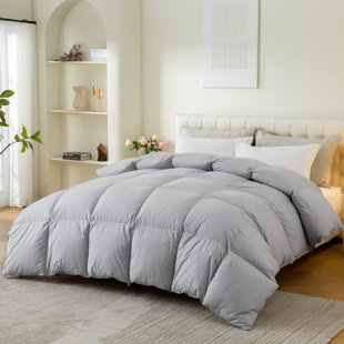 ALWYN HOME All Season Feather Down Comforter 750 Fill Fluffy Duvet Insert 100% Cotton Cover with Corner Tabs