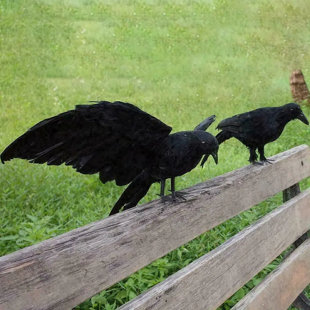 THE HOLIDAY AISLE® 2pcs Halloween Crow Prop Large Realistic Raven Feathered Spooky Party Home Decor