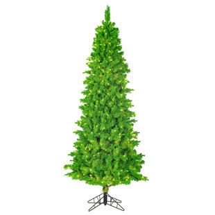 HASHTAG HOME Flocked Lime Fir Lighted Fir Christmas Tree
