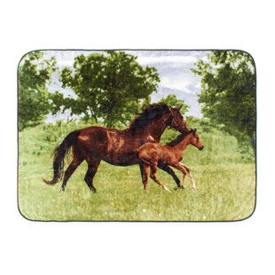 SHAVEL HOME PRODUCTS High Pile Oversized 60x80 Luxury Throw