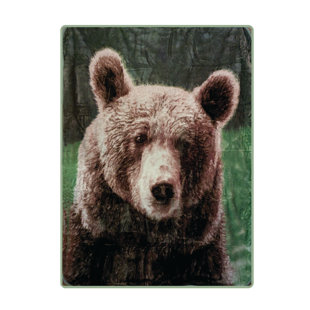 SHAVEL HOME PRODUCTS High Pile Oversized 60x80 Luxury Throw