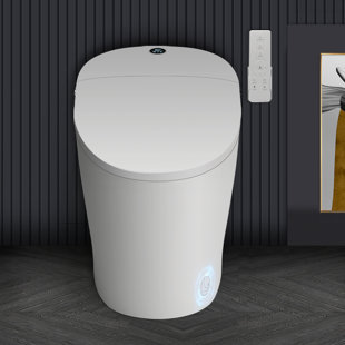 EPLO Smart Bidet Toilet, Elongated Tankless Toilet Bidet, Auto Flush, Foot Sensor Flush,Warm Water Clean,Dryer